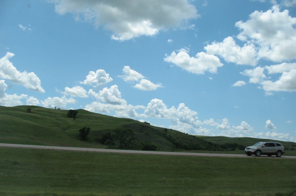 Hillside trees on 90