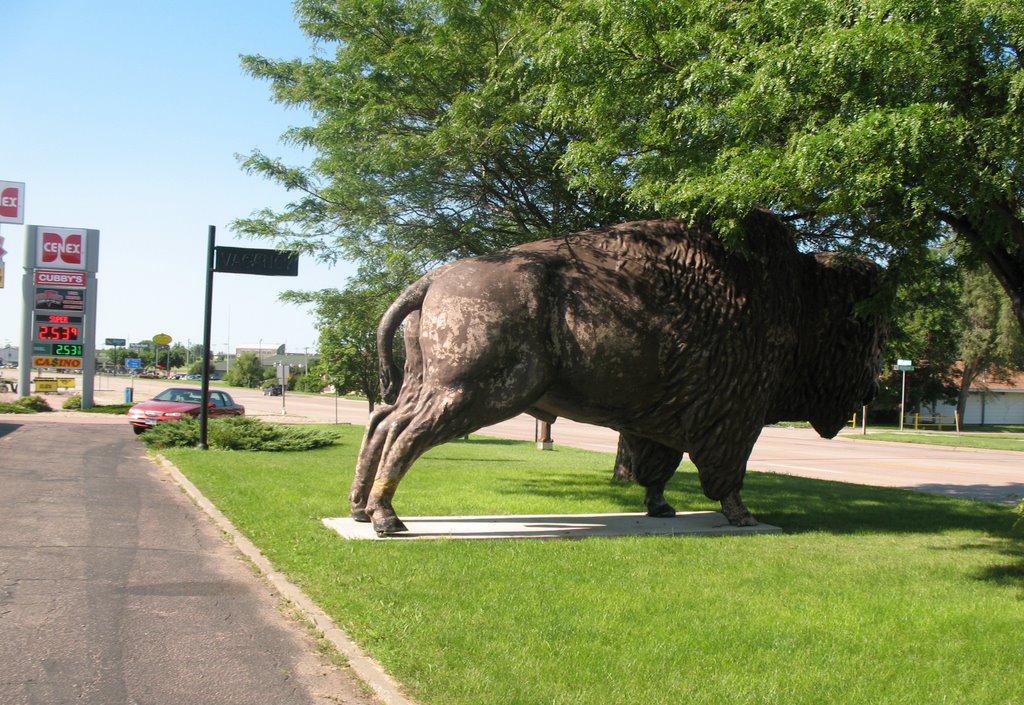 Hotel buffalo