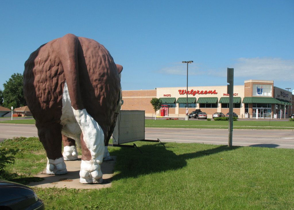 Steer and Walgreens