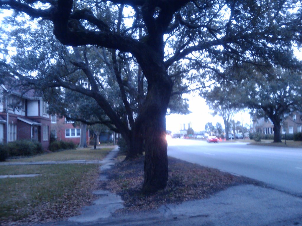 South Windermere Sidewalk
