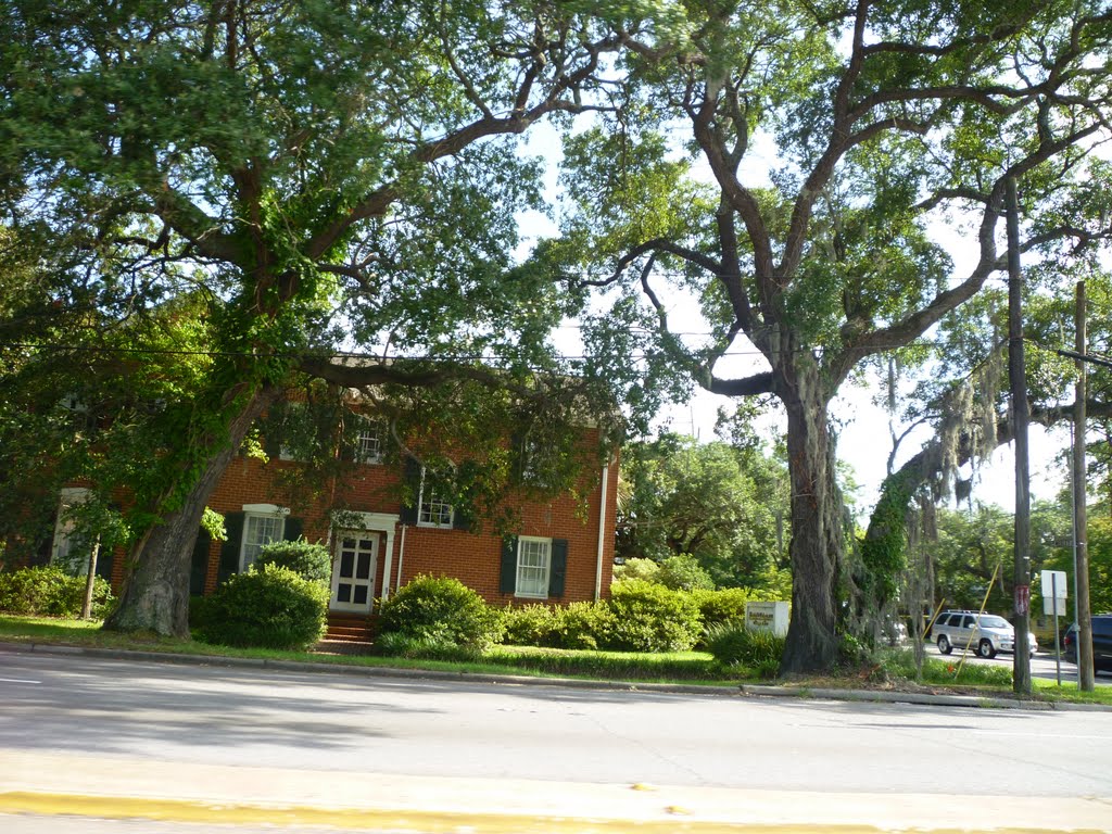 Savannah Highway