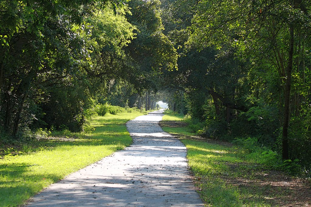 Bikeway to Ashley River