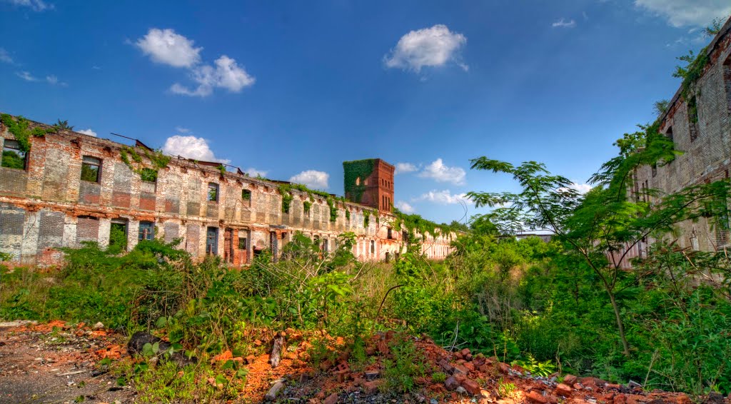 Old Abney Mill