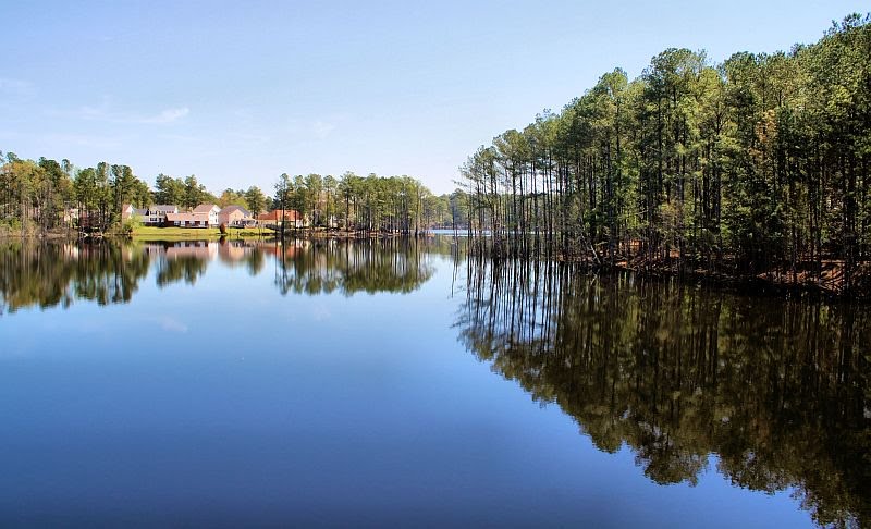 Residential Reflections