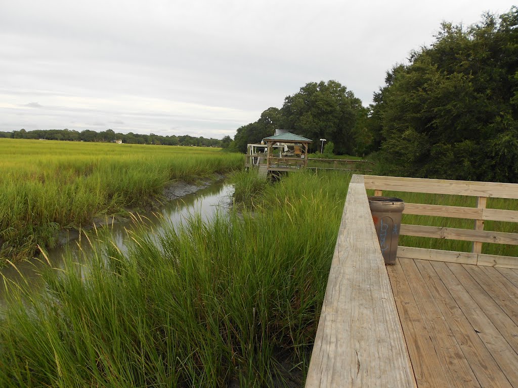 James Island creek view