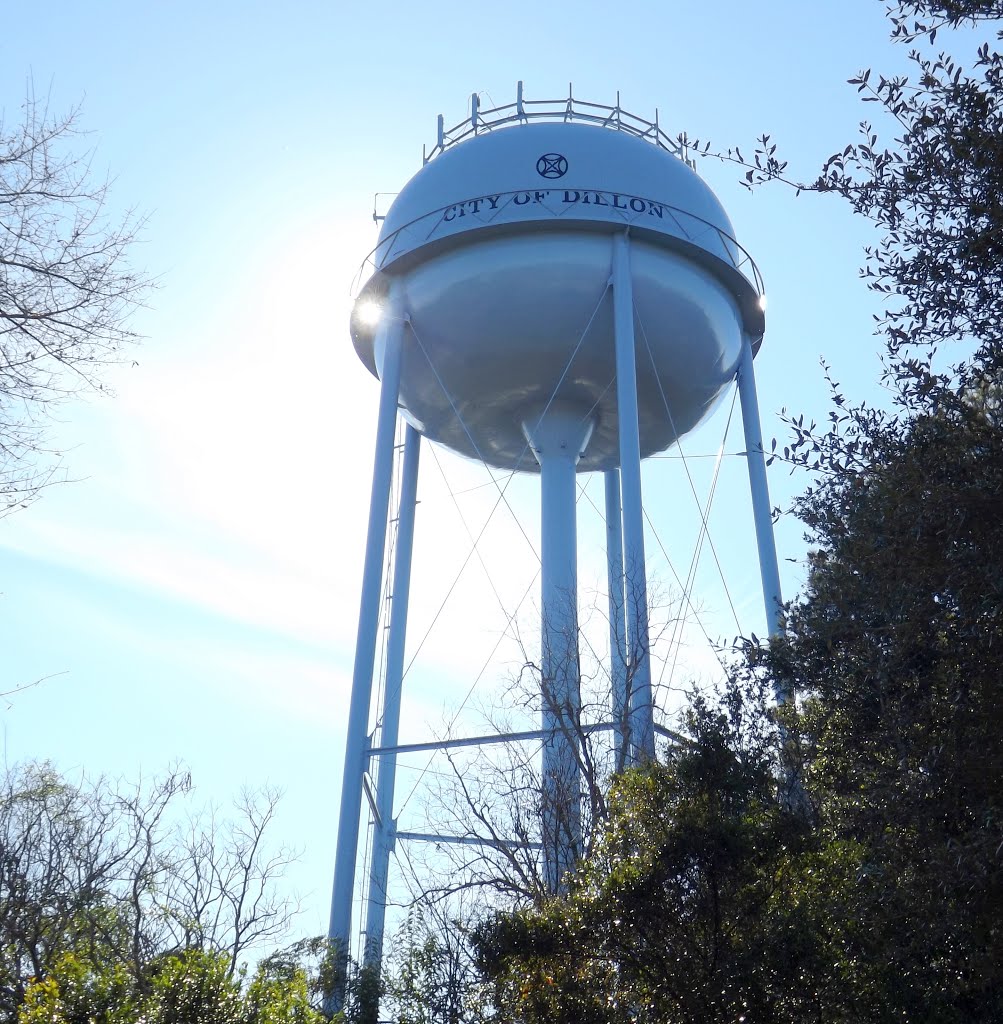 Dillion City WT---st