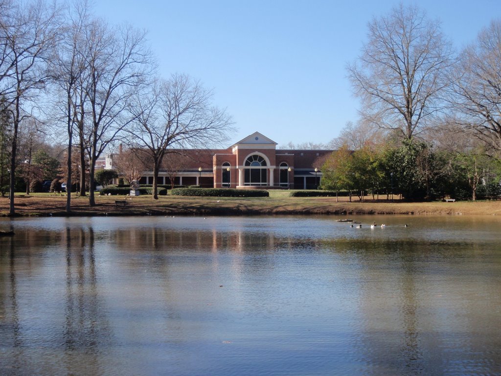 Ducks and Pond at PC