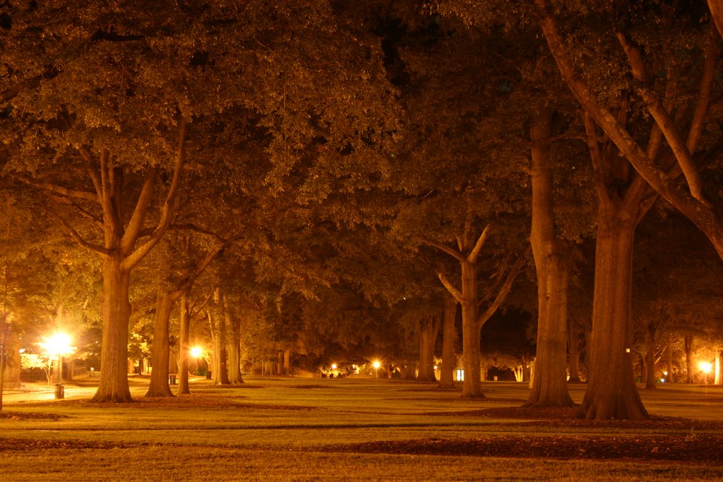 USC Horseshoe at night