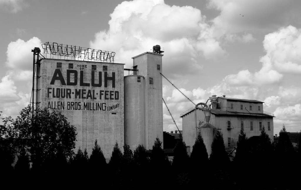 Adluh Flour
