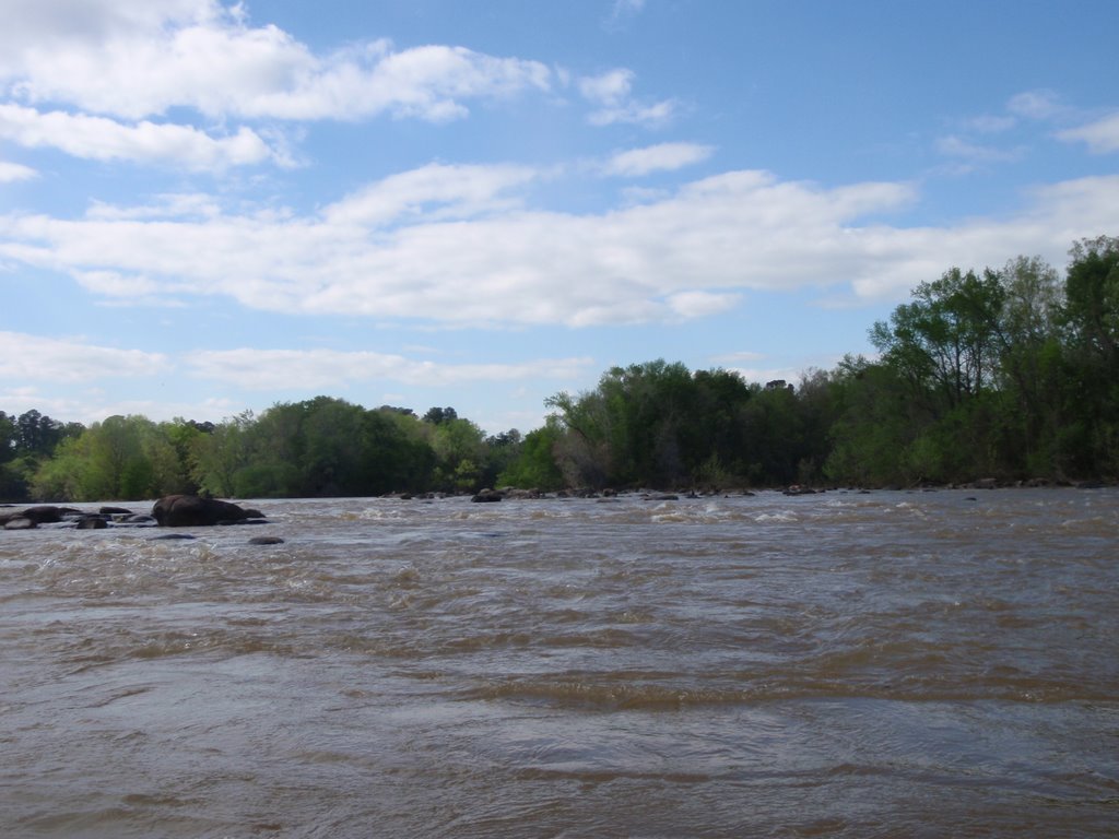 The waters mix and form the Congaree