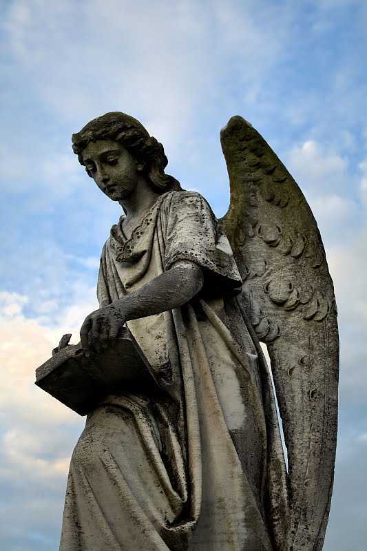 Fallen Angel