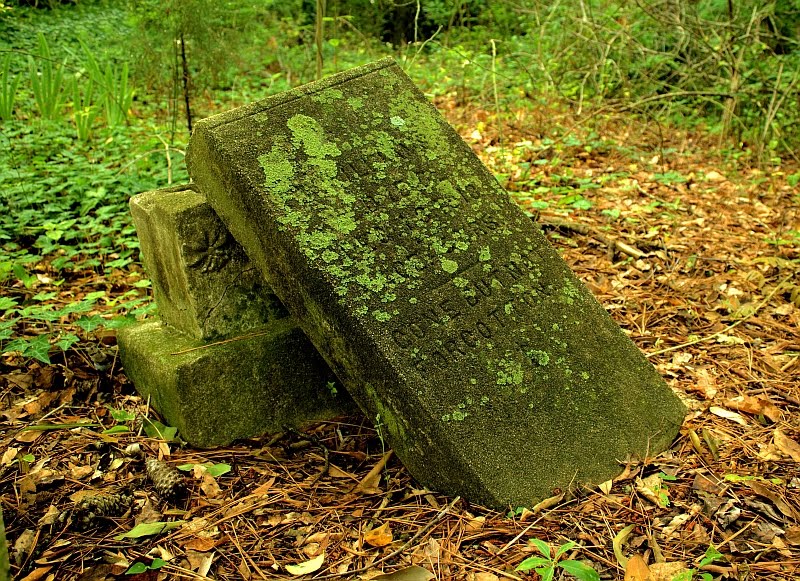 Gone But Not Forgotten