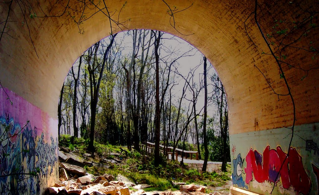 Supportive Shelter for the Homeless