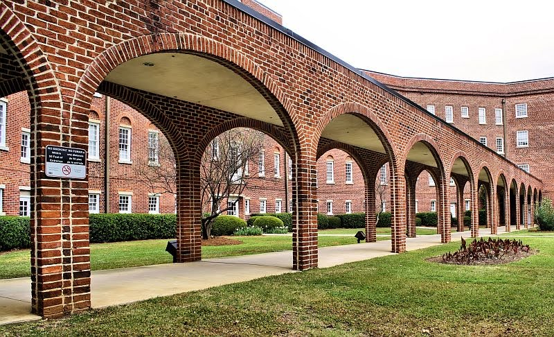 Those Crazy Arches