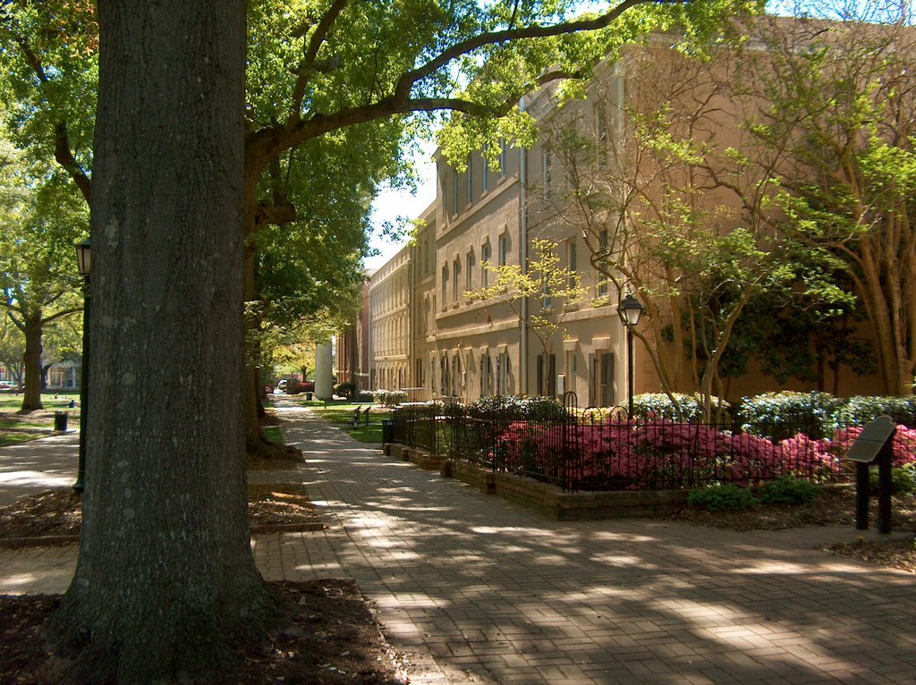 The University of South Carolinas Horseshoe