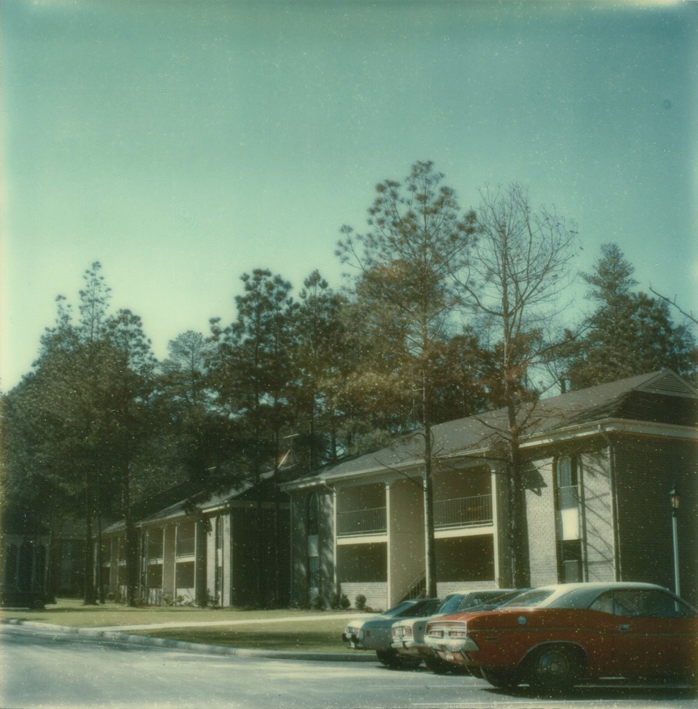 Granby Oaks, Feb 1974