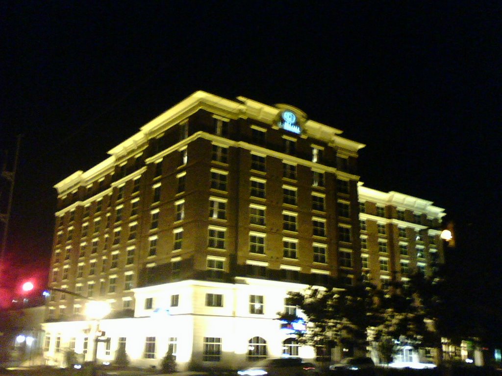 The Hilton Hotel