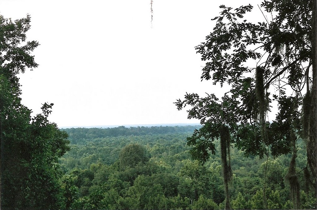 Congaree Bluffs Heritage Preserve