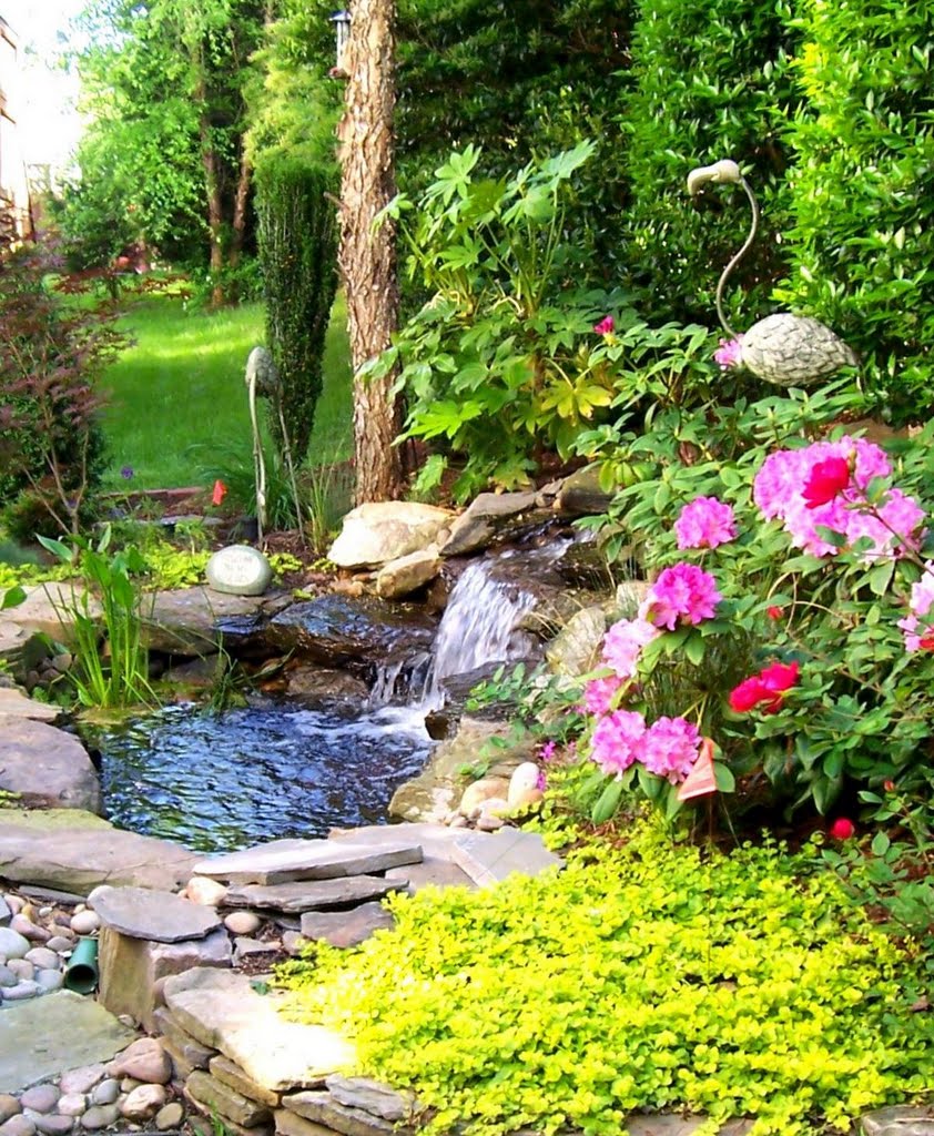 Flamingo Pond