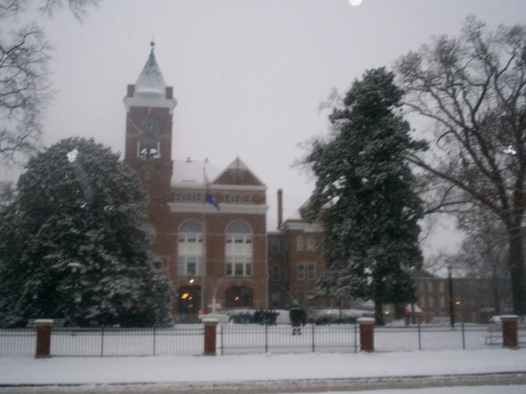Tillman with snow