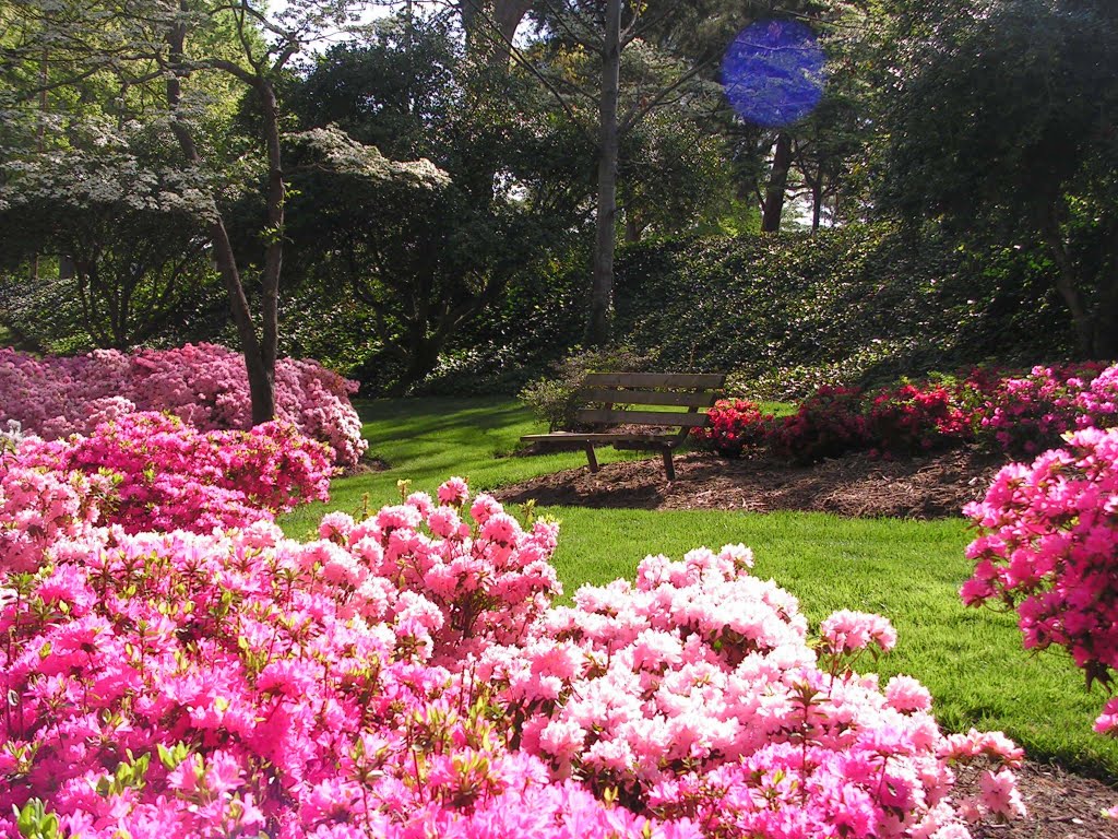 Glencairn Gardens, Rock Hill