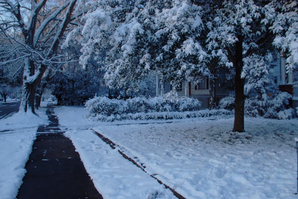 Snow in Sumter