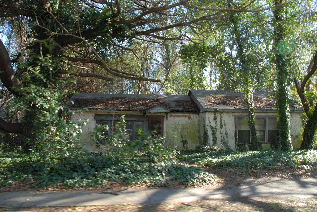 Abandoned House