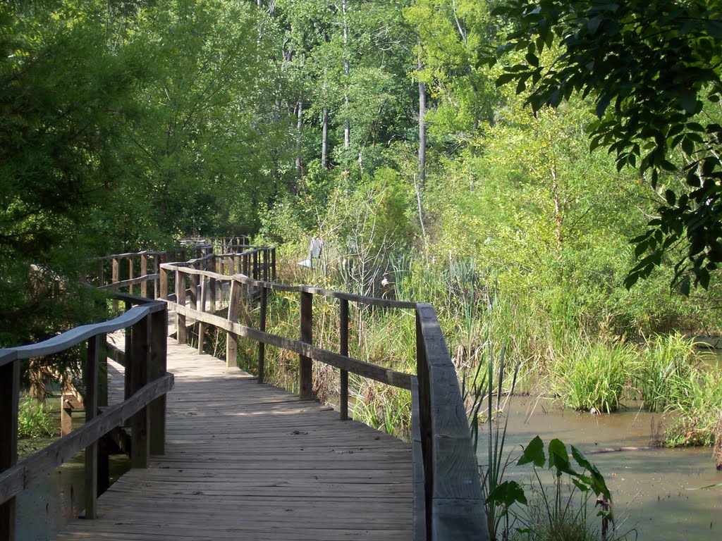 Boardwalk at Cottonwood Trail 1