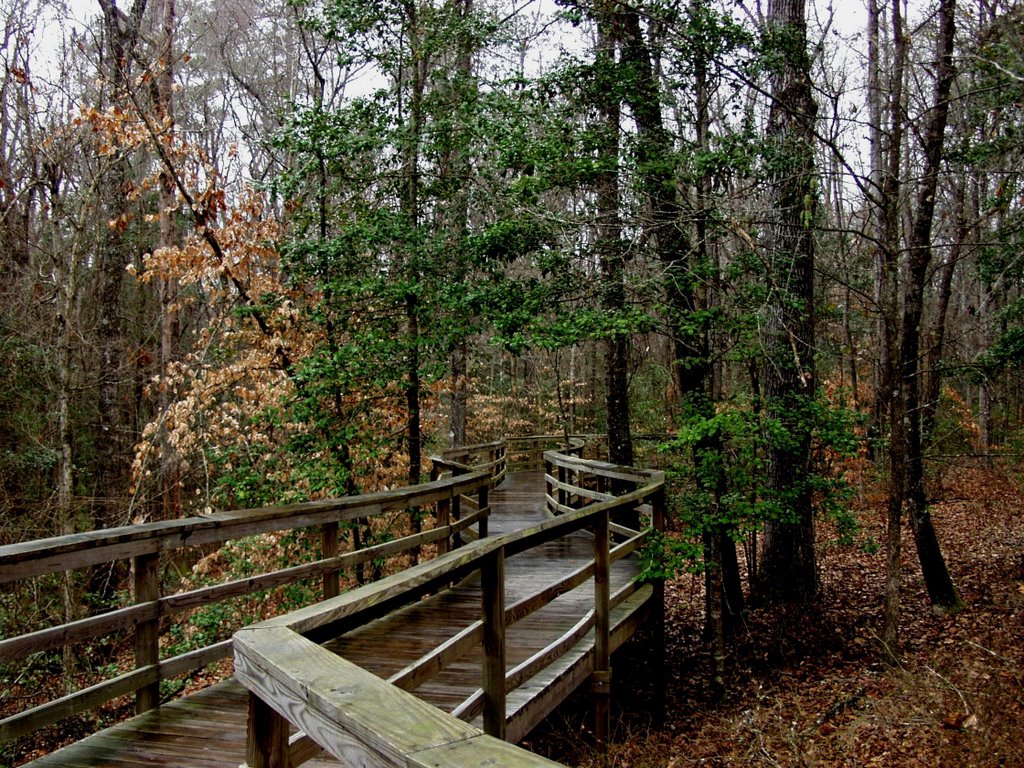 Congaree NP, SC
