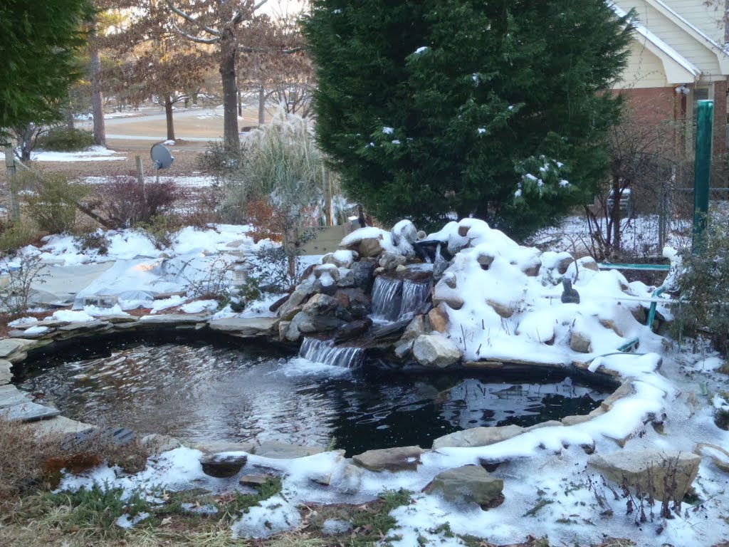 Koi Pond in Winter