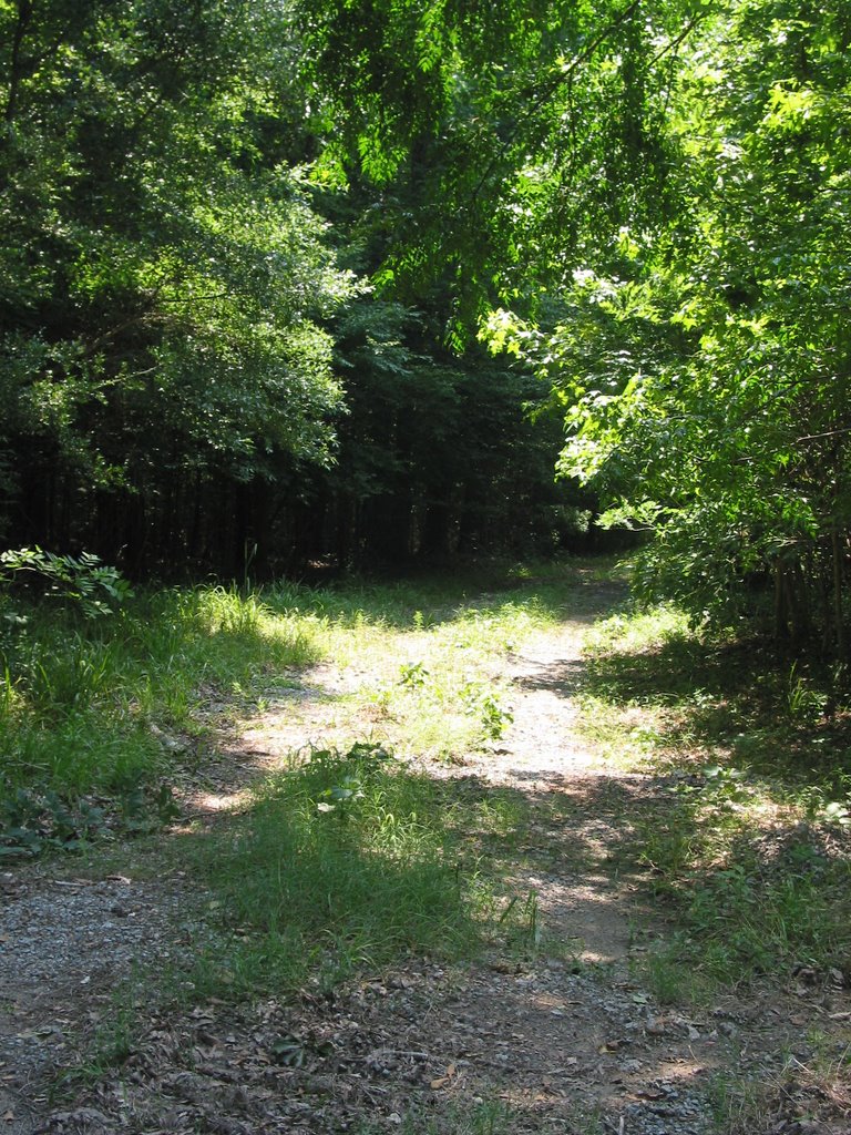 Lincolnville