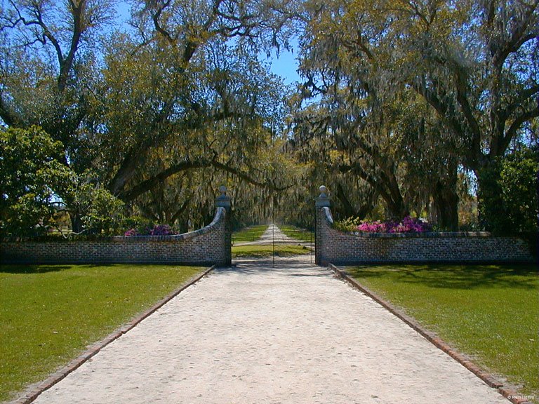Avenue of the Oaks