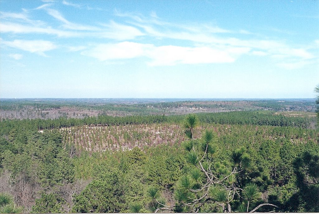 View Atop Sugarloaf Mountain