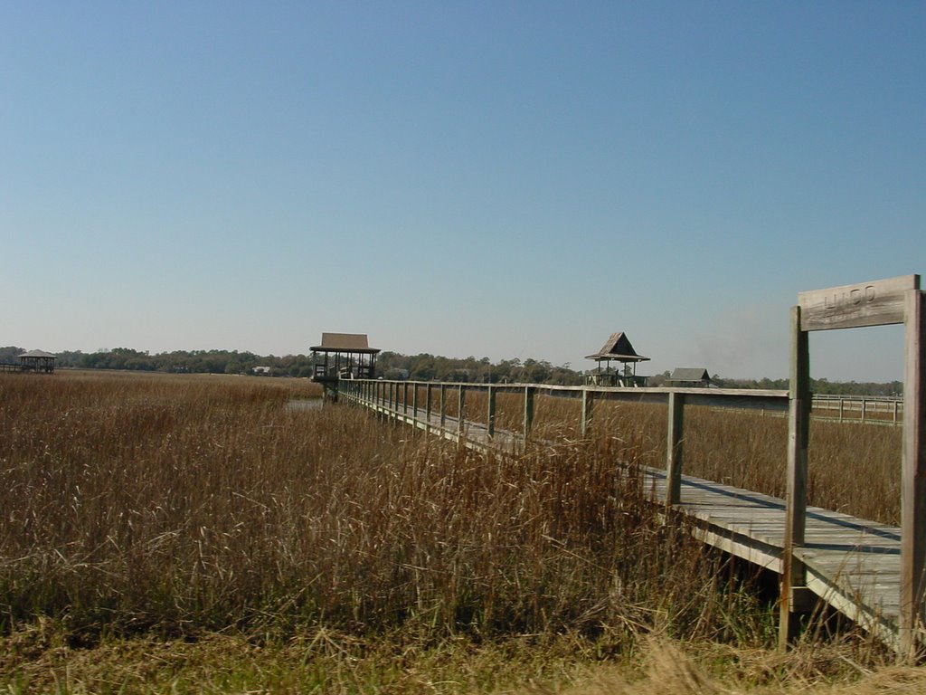 Pawleys Island