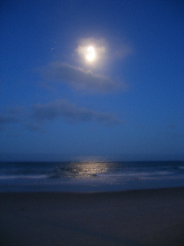 Near Myrtle Beach, S.C.