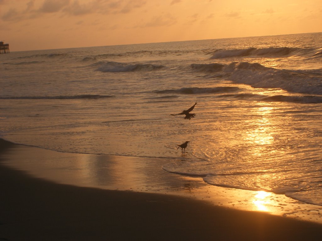 Sunrise, near Myrtle Beach, S.C.