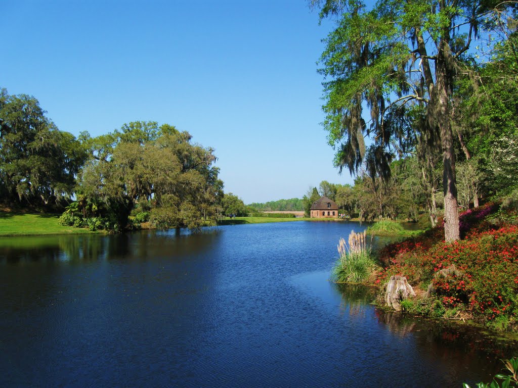 Rice Mill Pond