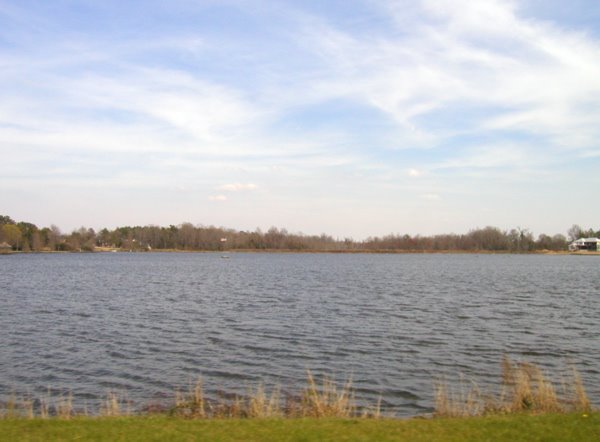 Forest Lake, Florence SC 2006
