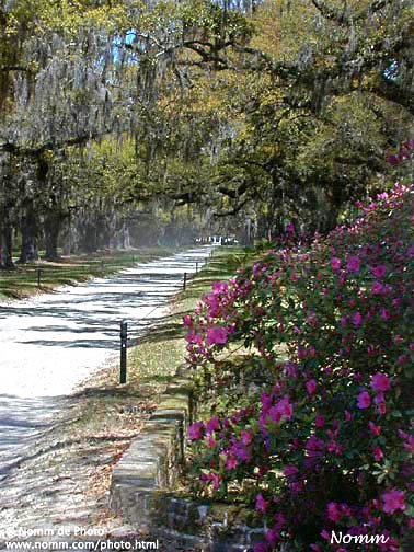 Boone Hall Plantation