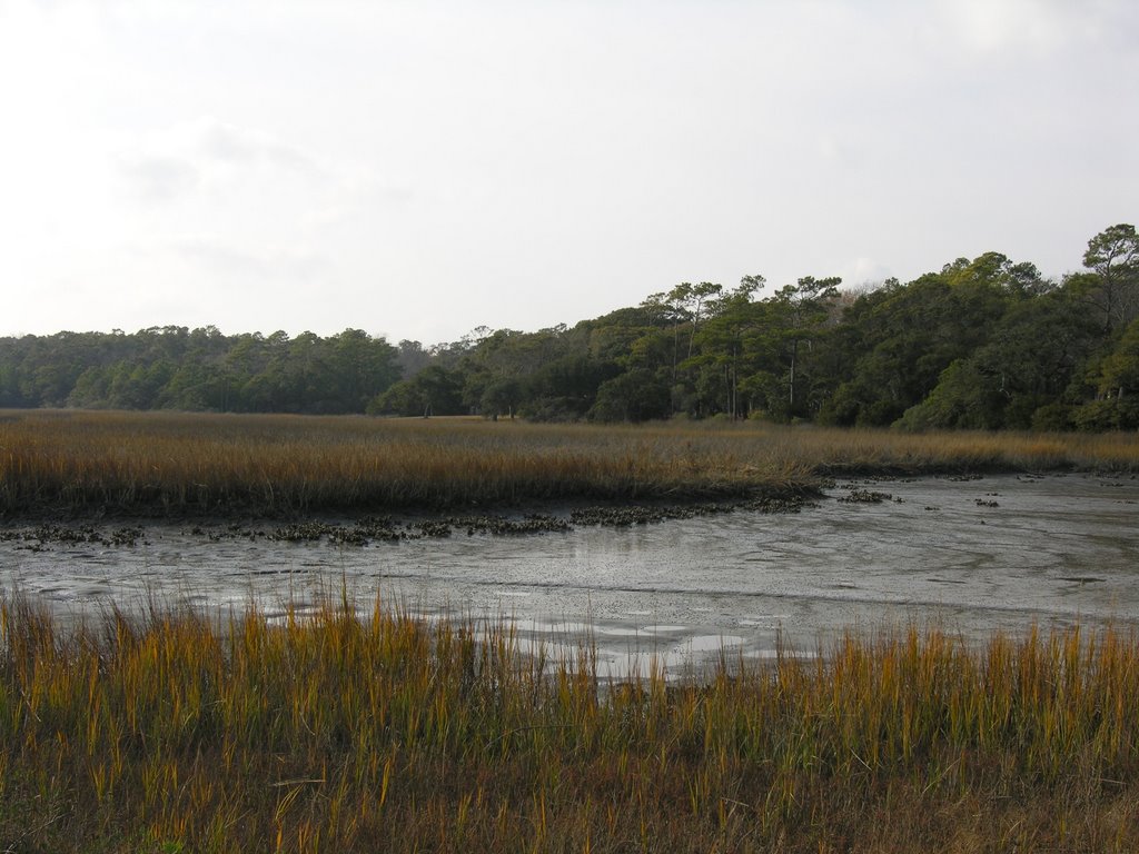 View from the point back towards FFA Camp