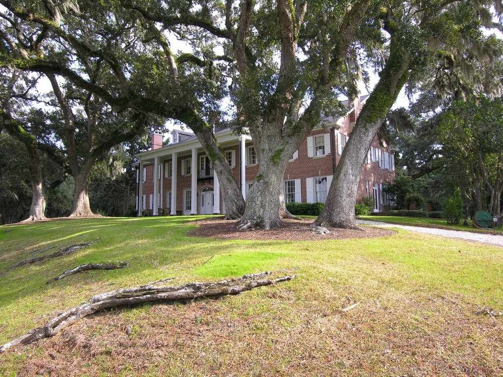 Hobcaw Plantation
