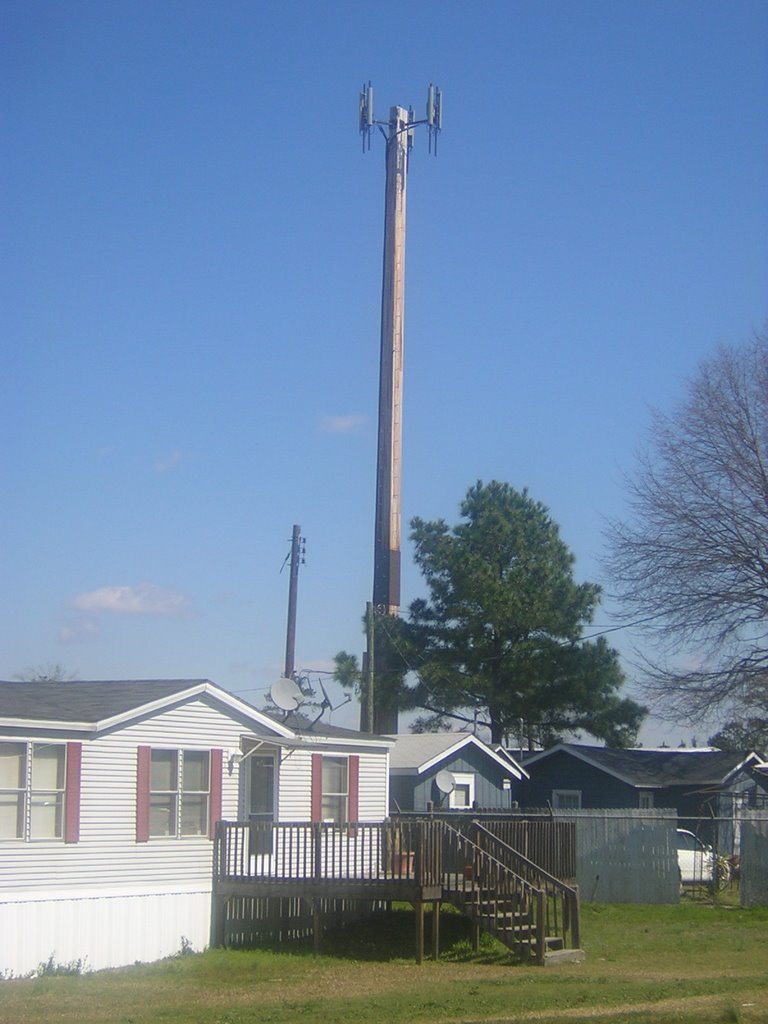 Wooden Pole Cell Site in Florence, SC