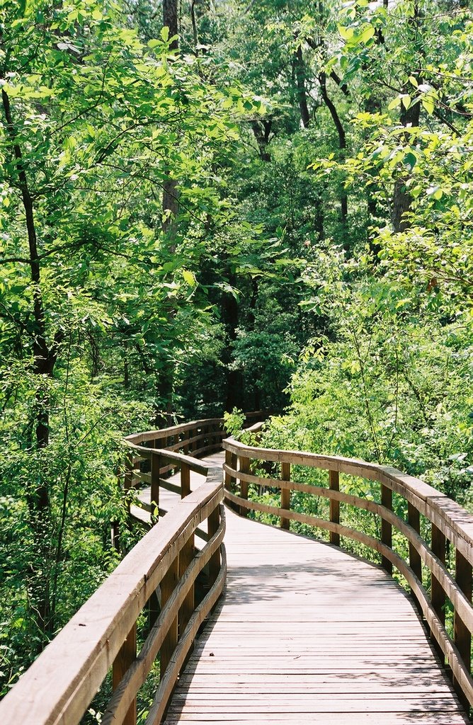 Green Space