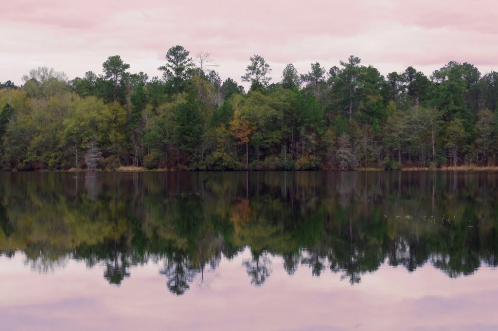 Mirror lake painting-Duffies Pond