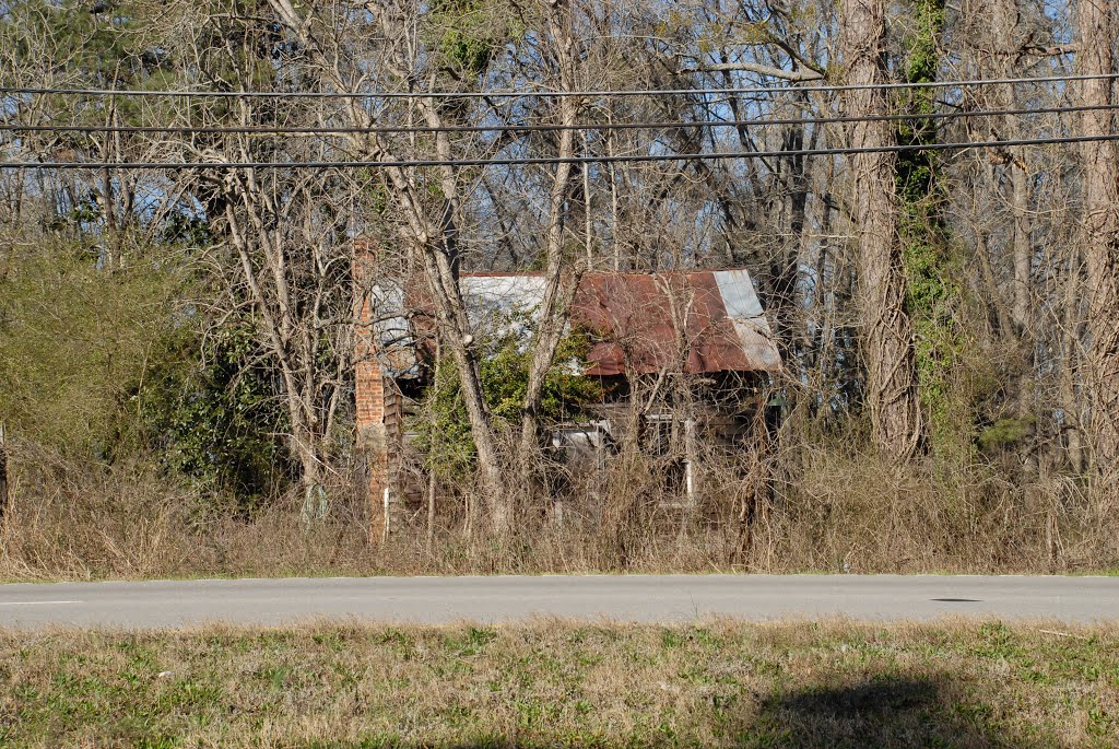 Abandoned House