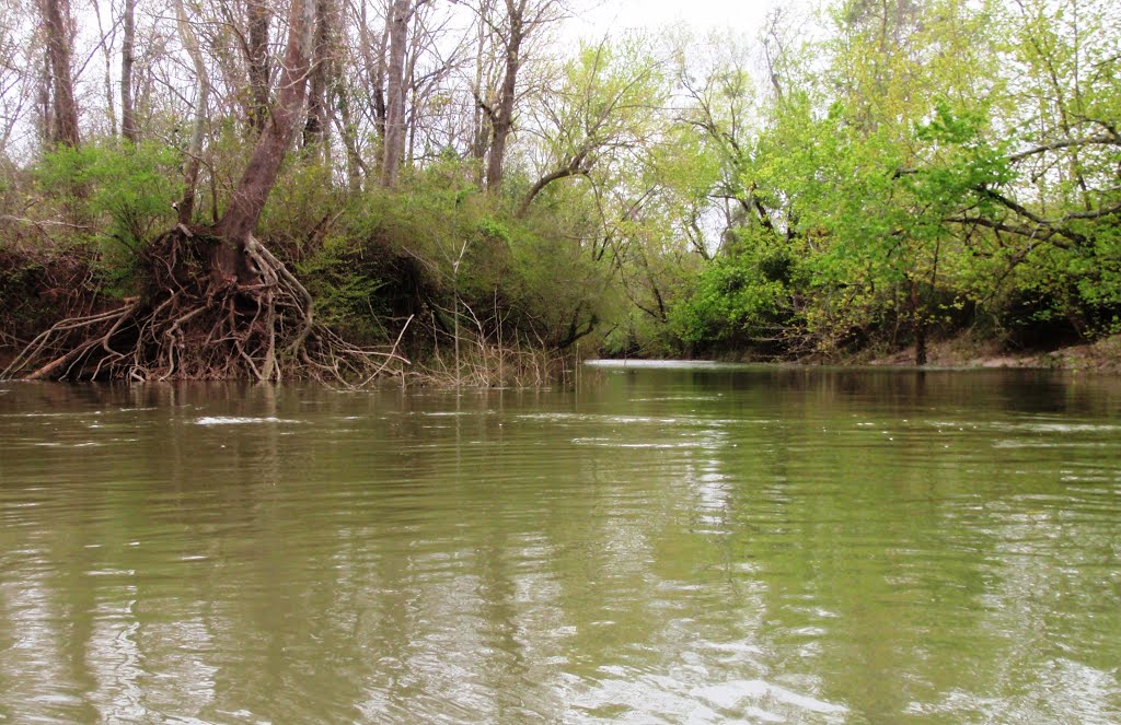 Old River Channel - Now cut off