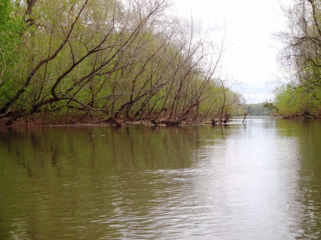 Island side channel -The old channel of Sandy Run Creek