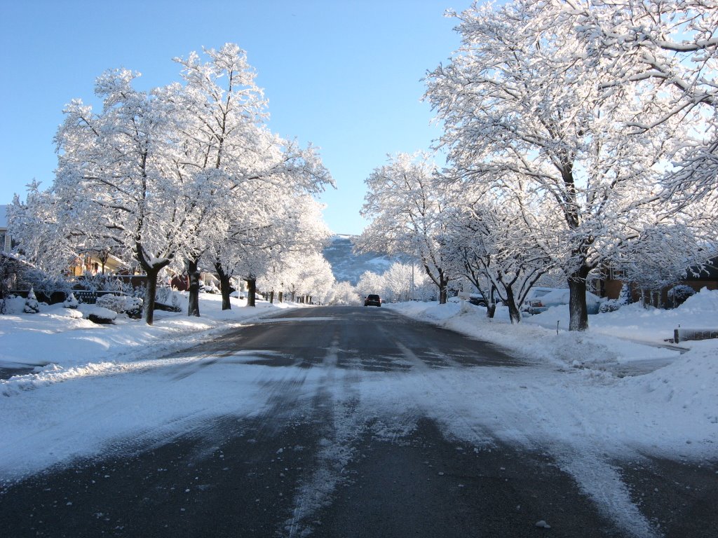 Bountiful Street - nhall