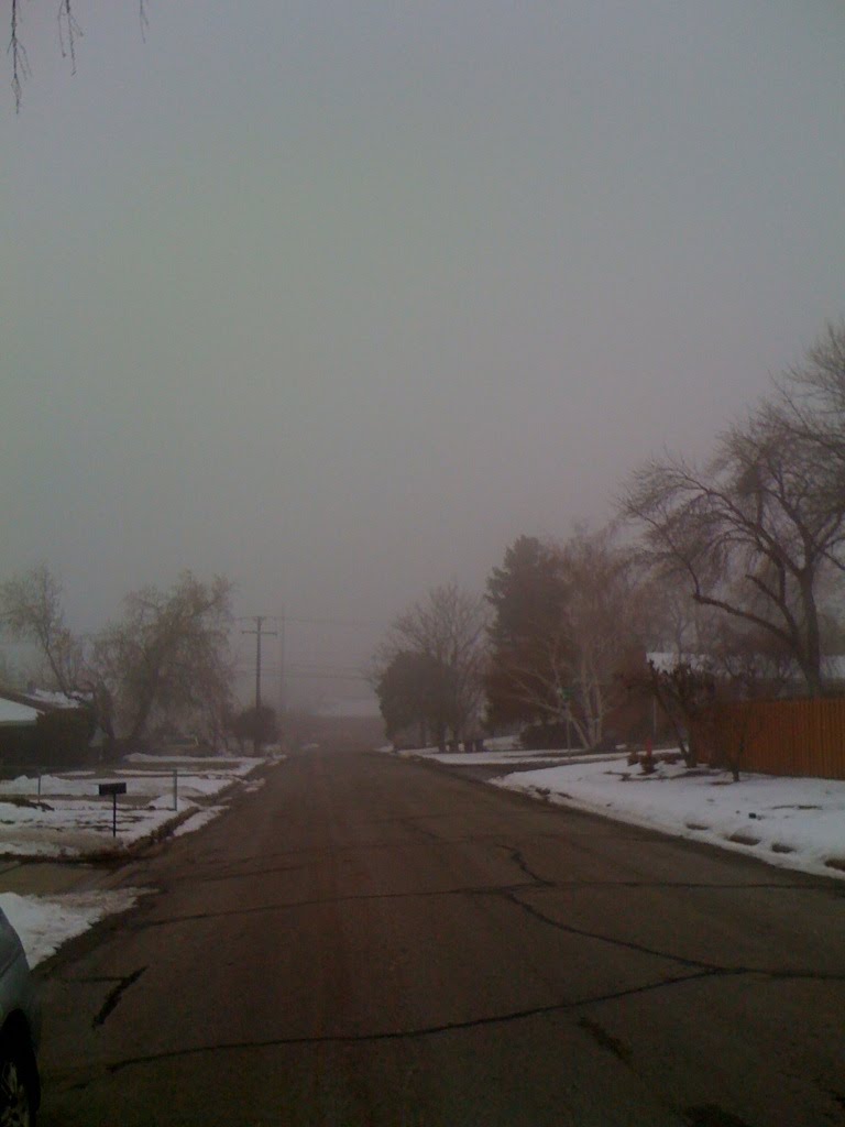 Foggy day