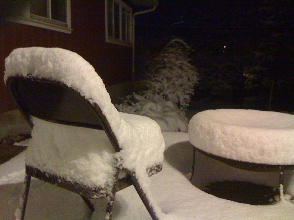 February 16 2011.